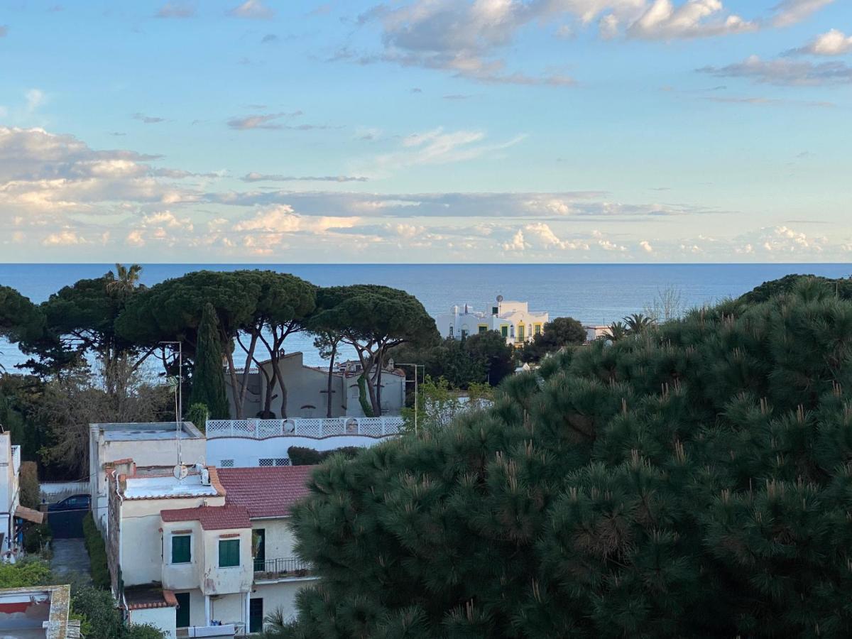Appartamento Centrale Santa Marinella Eksteriør billede